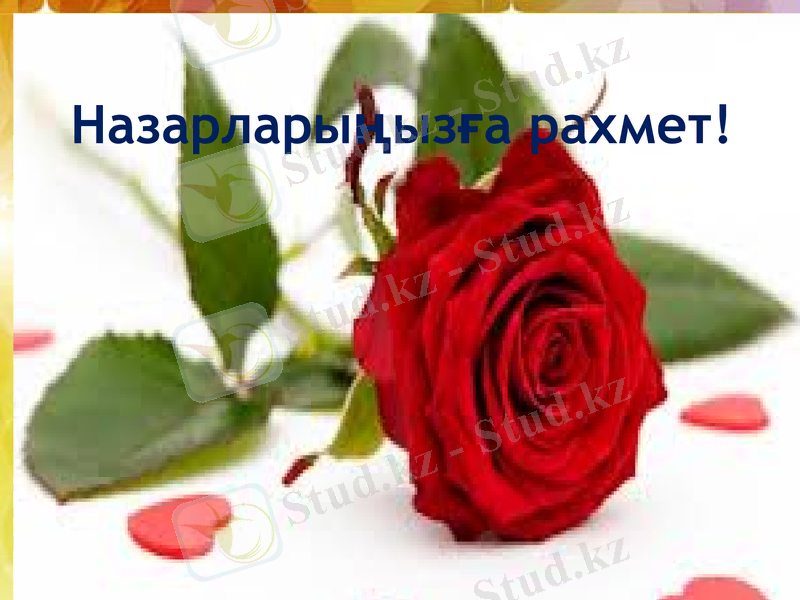Slide 14
