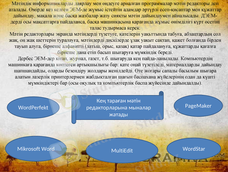 Slide 5