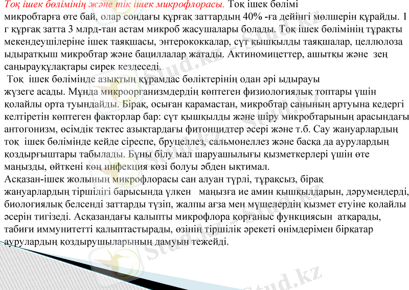 Slide 13