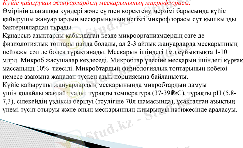 Slide 7