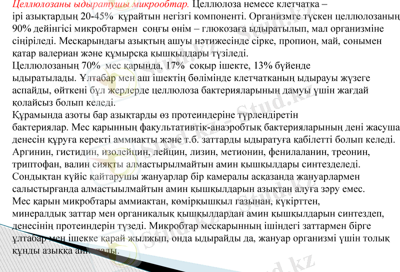 Slide 8