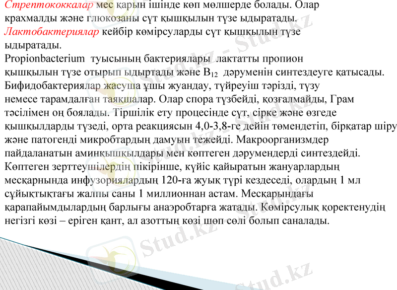 Slide 9