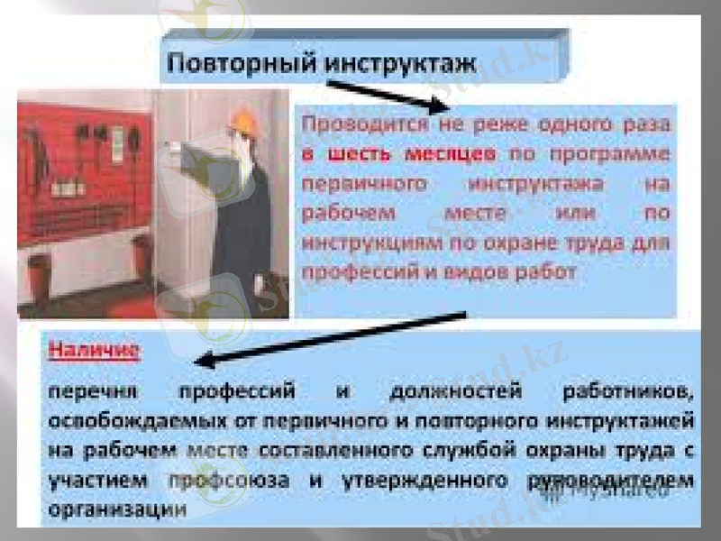 Slide 11