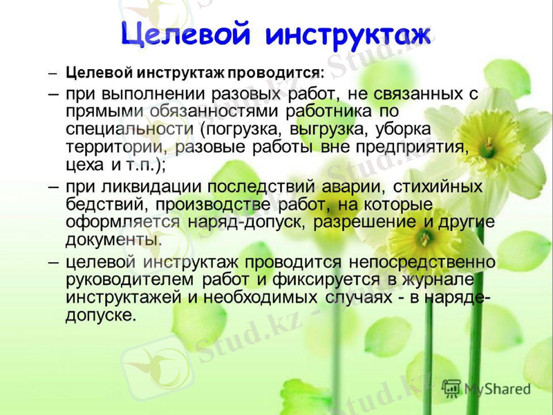 Slide 13