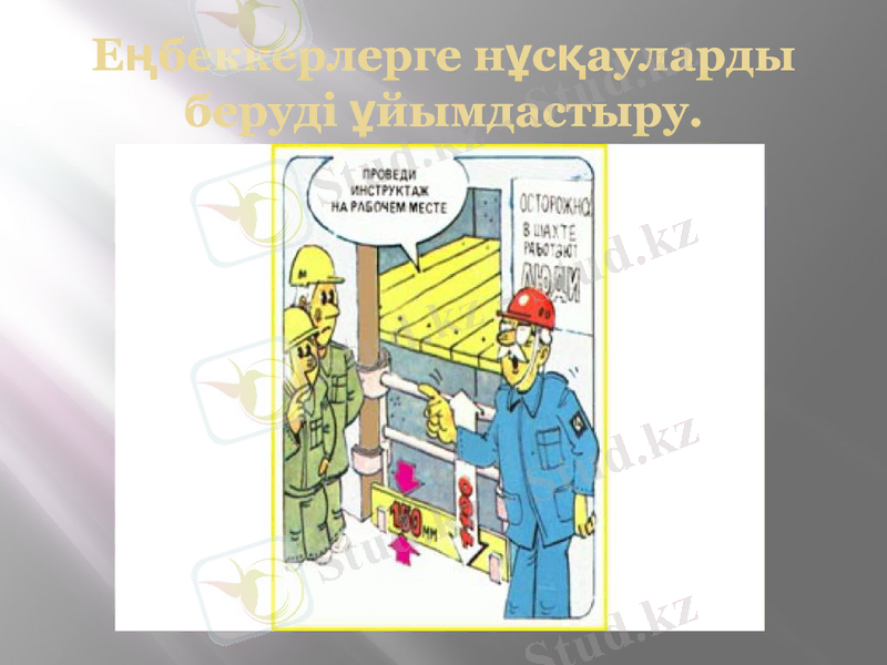 Slide 7