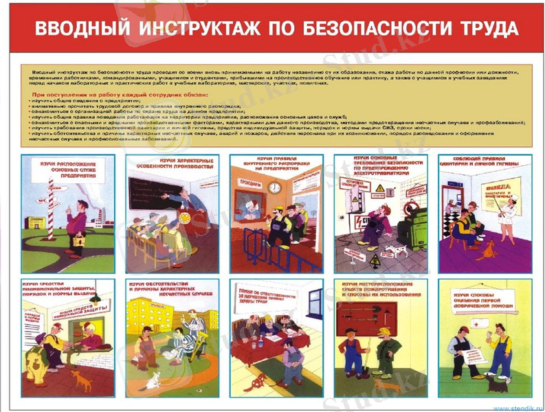 Slide 9