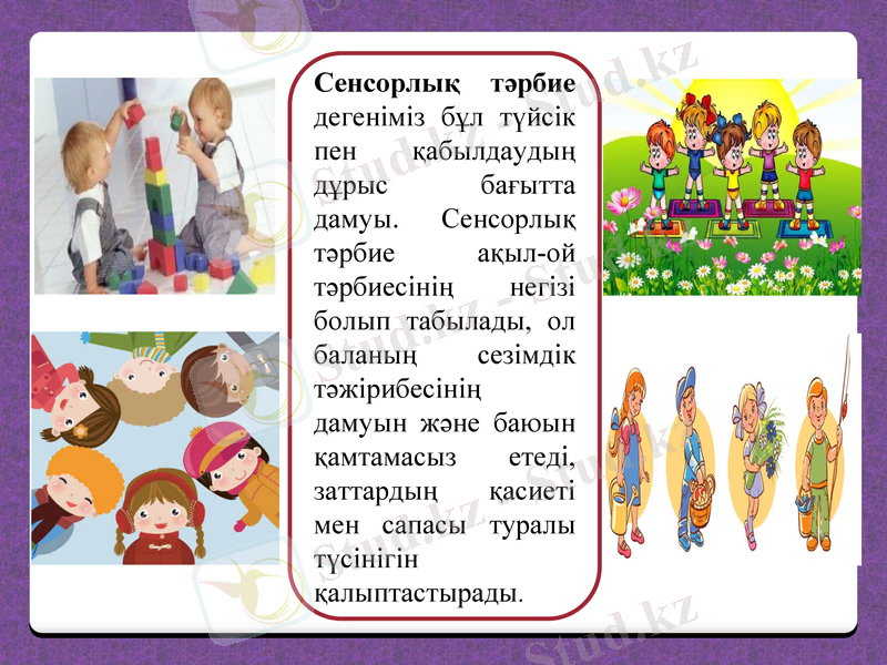 Slide 5