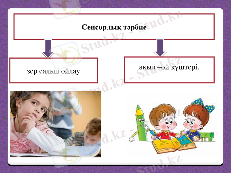 Slide 7