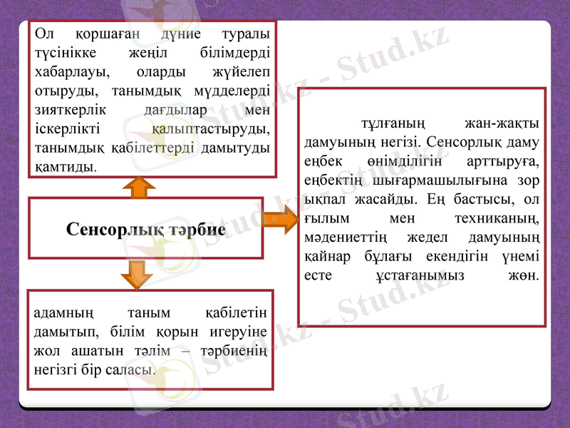 Slide 8