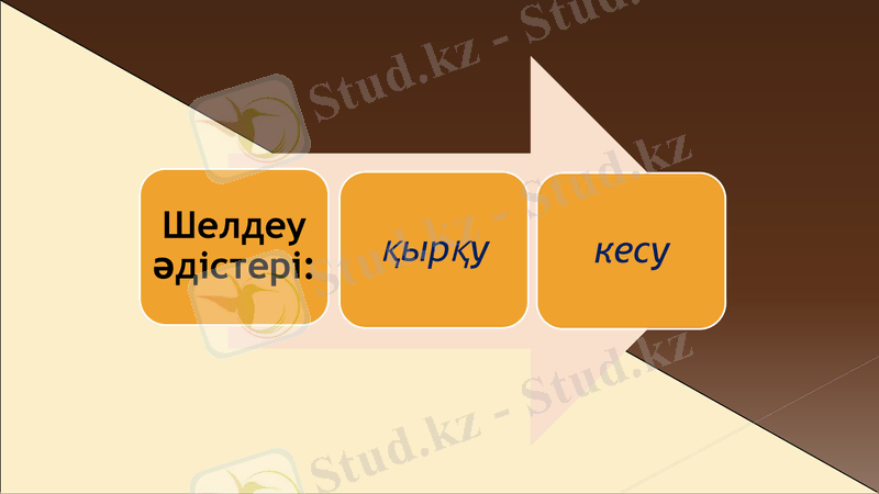Slide 10