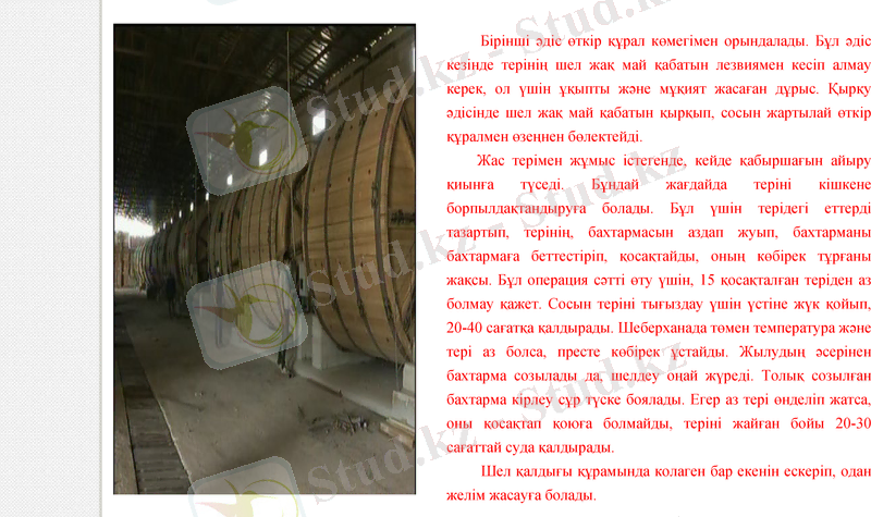 Slide 11