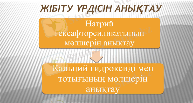 Slide 7