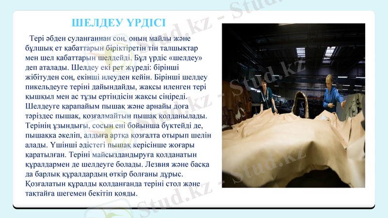 Slide 9