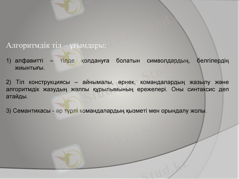 Slide 11