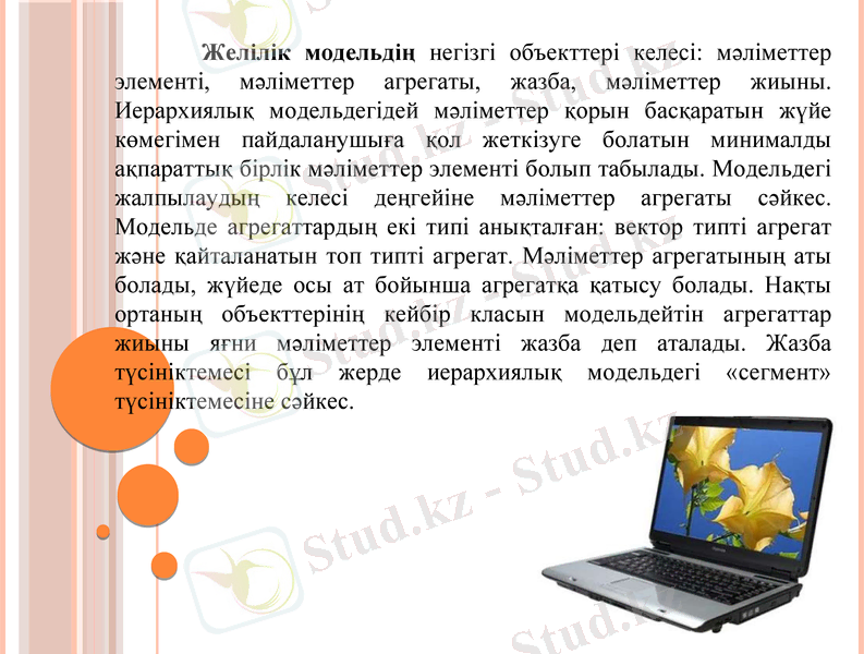 Slide 13
