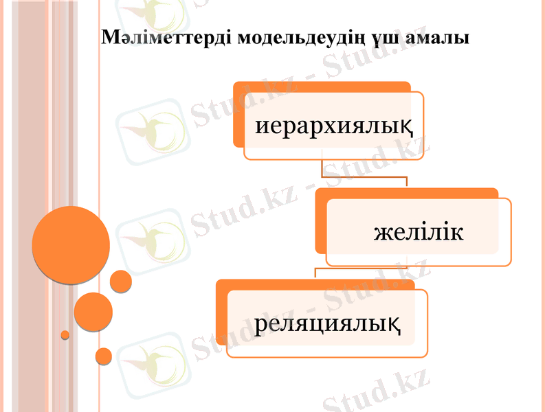 Slide 8