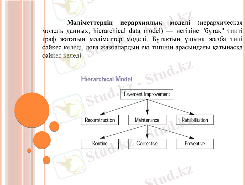 Slide 9