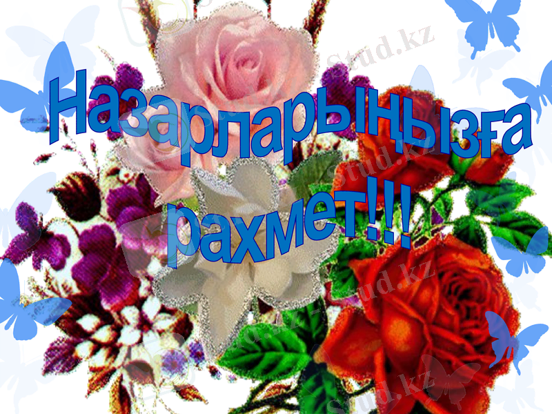 Slide 10