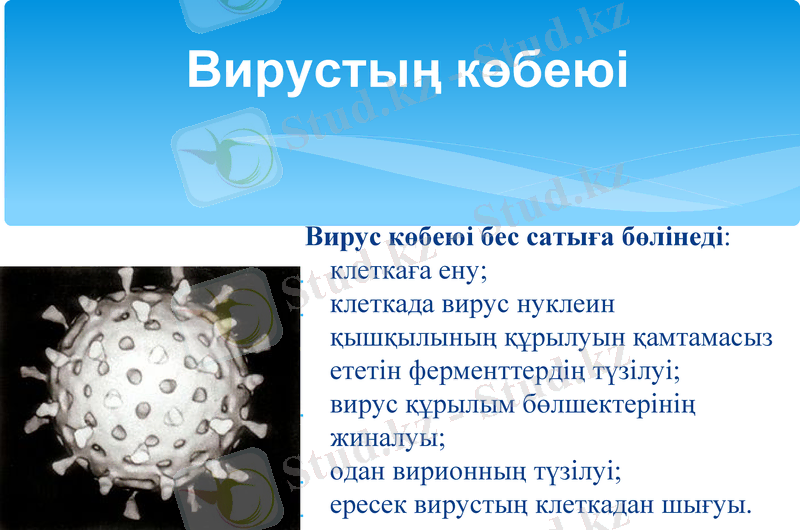 Slide 11