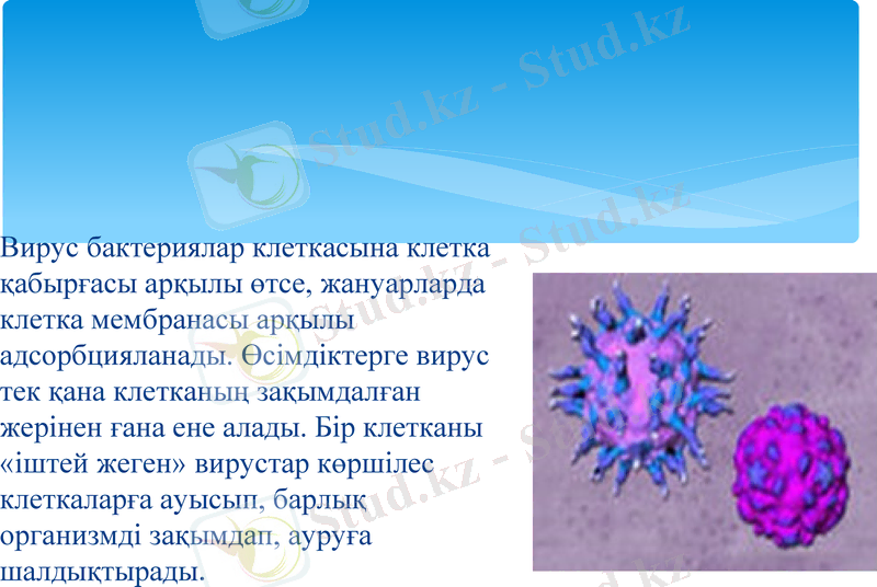 Slide 12