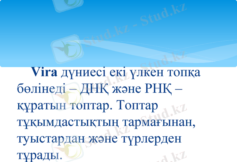 Slide 13