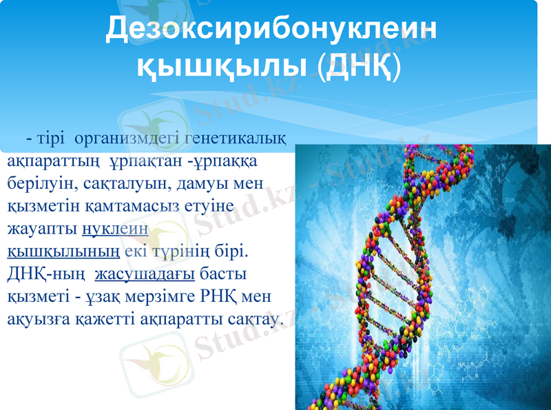 Slide 14