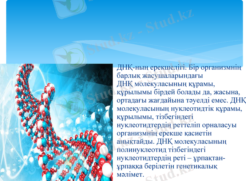 Slide 15