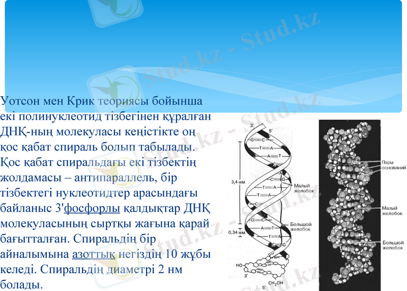 Slide 17