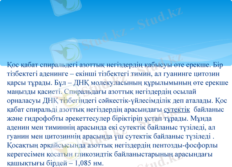 Slide 18