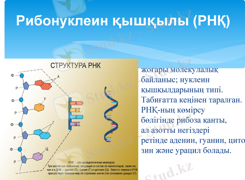 Slide 19
