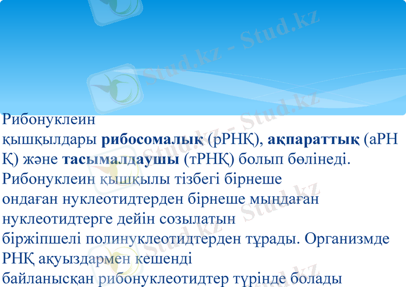 Slide 20