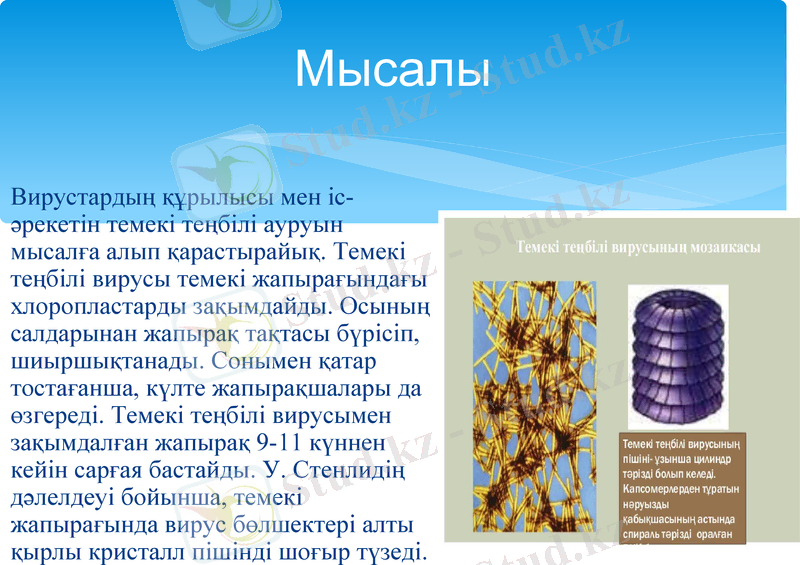 Slide 6