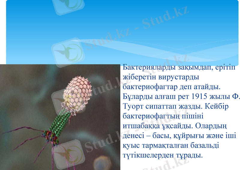 Slide 7