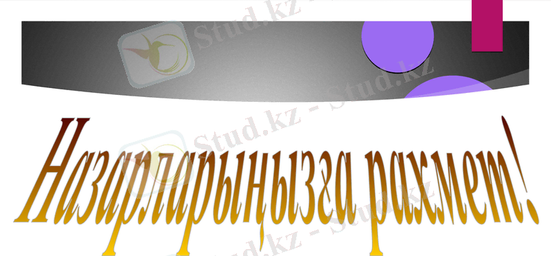 Slide 12