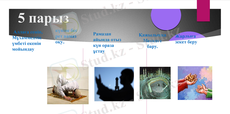 Slide 6