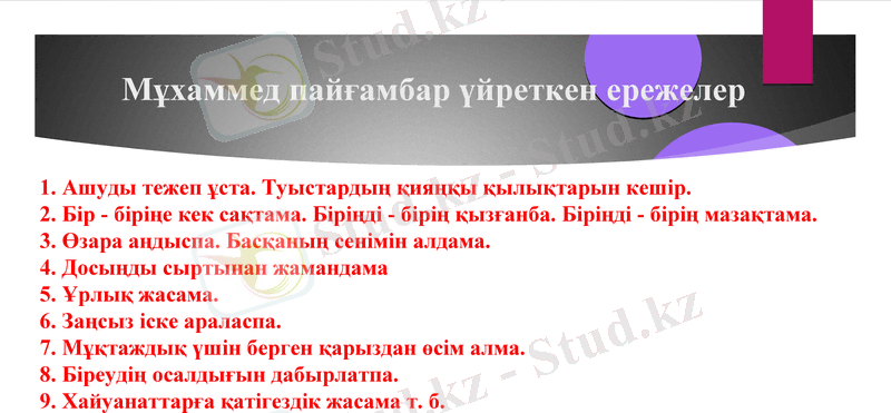 Slide 7