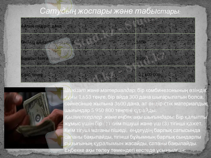 Slide 8