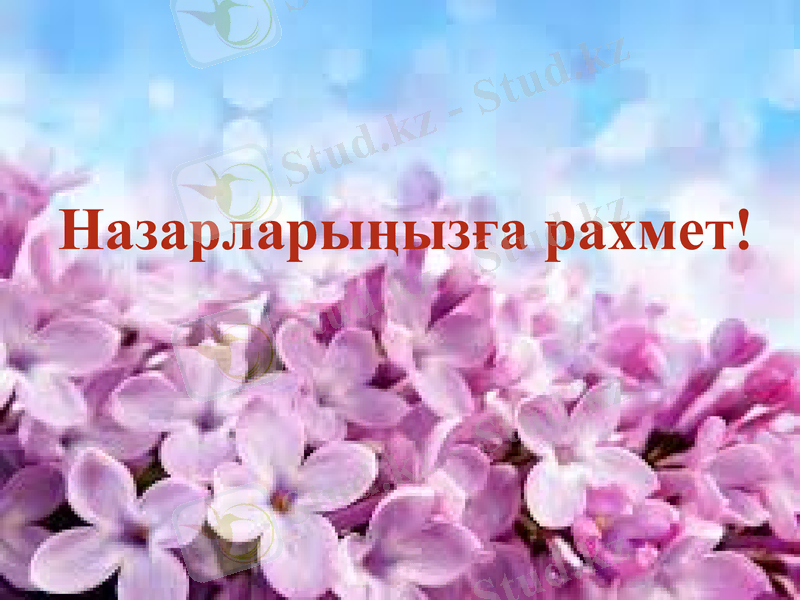 Slide 10