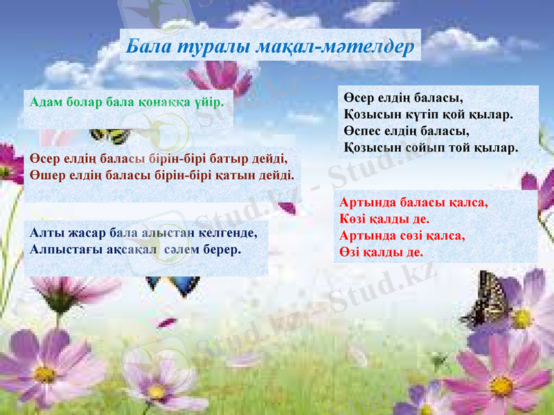 Slide 8