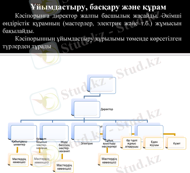 Slide 9