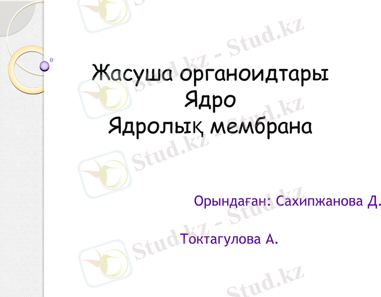 Slide 1