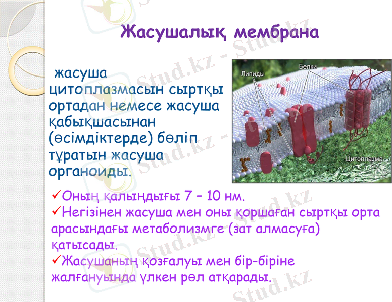 Slide 10