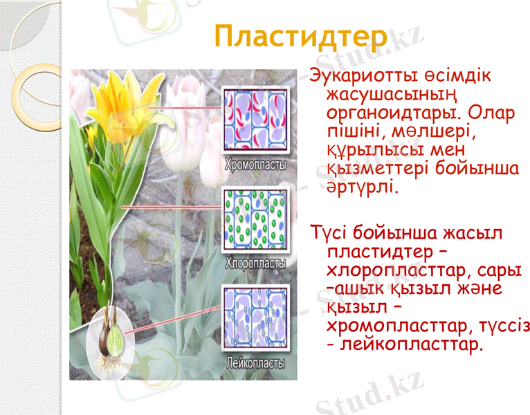 Slide 13