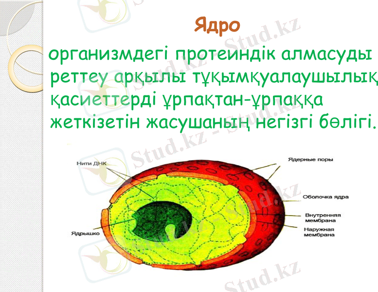 Slide 14
