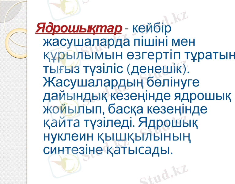 Slide 15