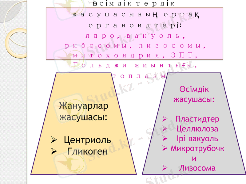 Slide 16