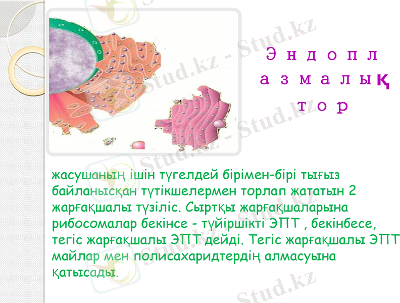 Slide 6