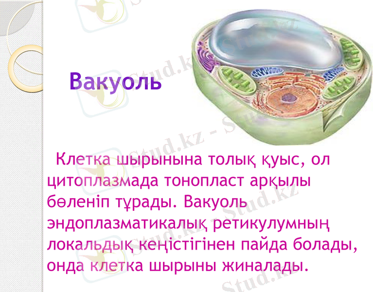 Slide 7