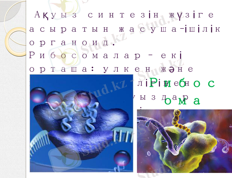Slide 8