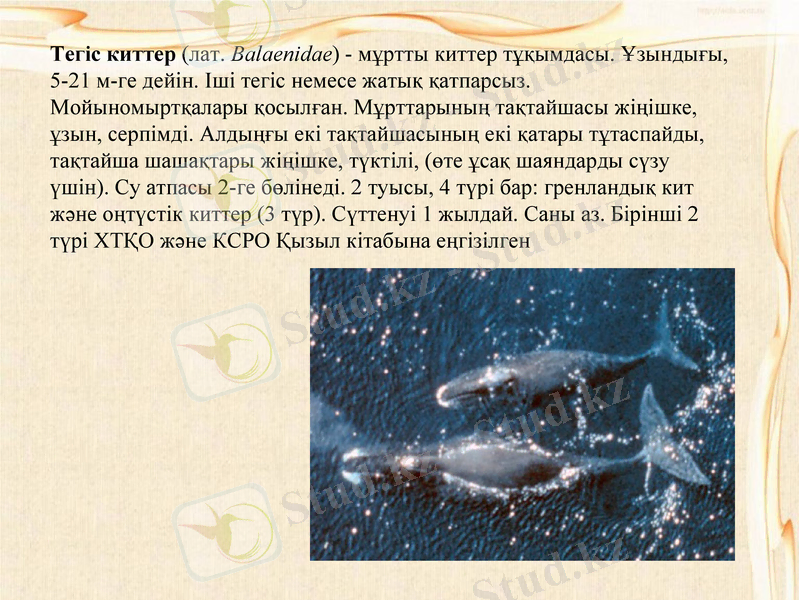 Slide 10